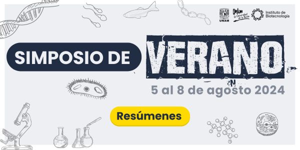 Simposio de Verano 2024 | Resúmenes