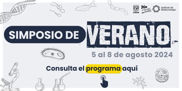Simposio de Verano 2024 | Programa