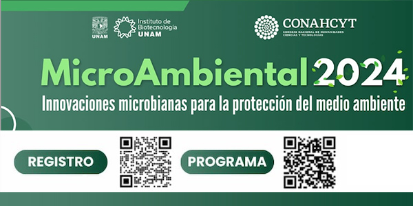 MicroAmbiental 2024