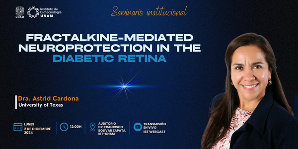 Fractalkine-Mediated Neuroprotection in the Diabetic Retina