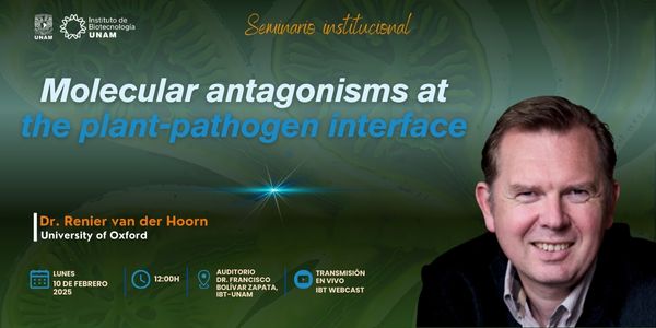 Molecular antagonisms at the plant-pathogen interface