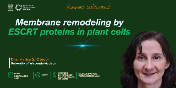 Membrane remodeling by ESCRT proteins in plant cells