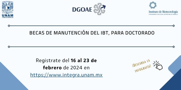 BECAS DE MANUTENCIÓN DEL IBt, PARA DOCTORADO