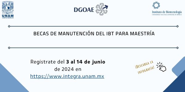Becas de manutención del IBt para Maestría