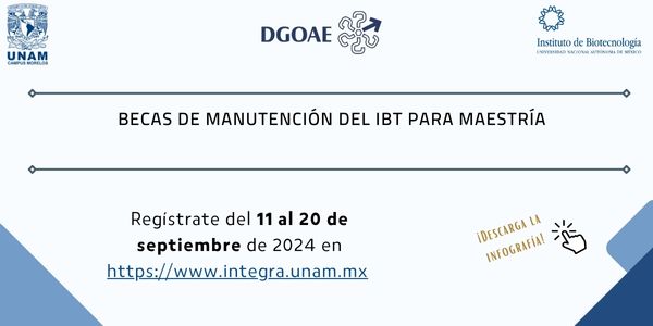 BECAS DE MANUTENCIÓN DEL IBt PARA MAESTRÍA