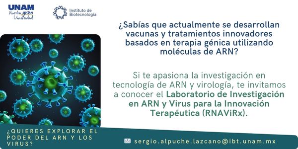 Laboratorio de Investigación en ARN y Virus para la Innovación Terapéutica (RNAViRx)