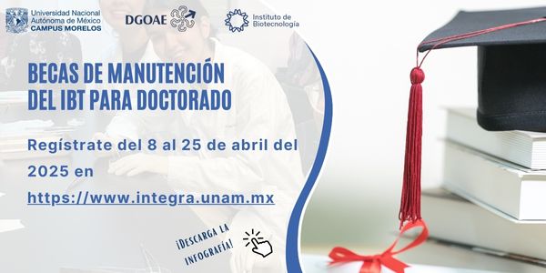 Becas de Manutención del IBt para Doctorado